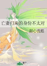 亡妻归来的身份不太对全文阅读